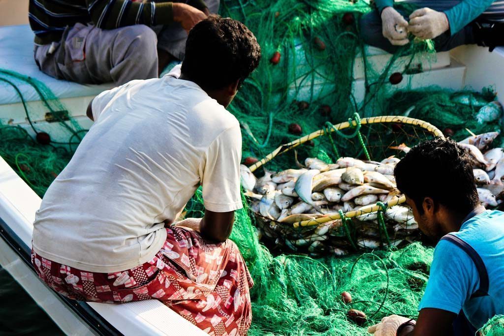 Fishermen unloading their catch in Doha - photo for illustrative purposes only