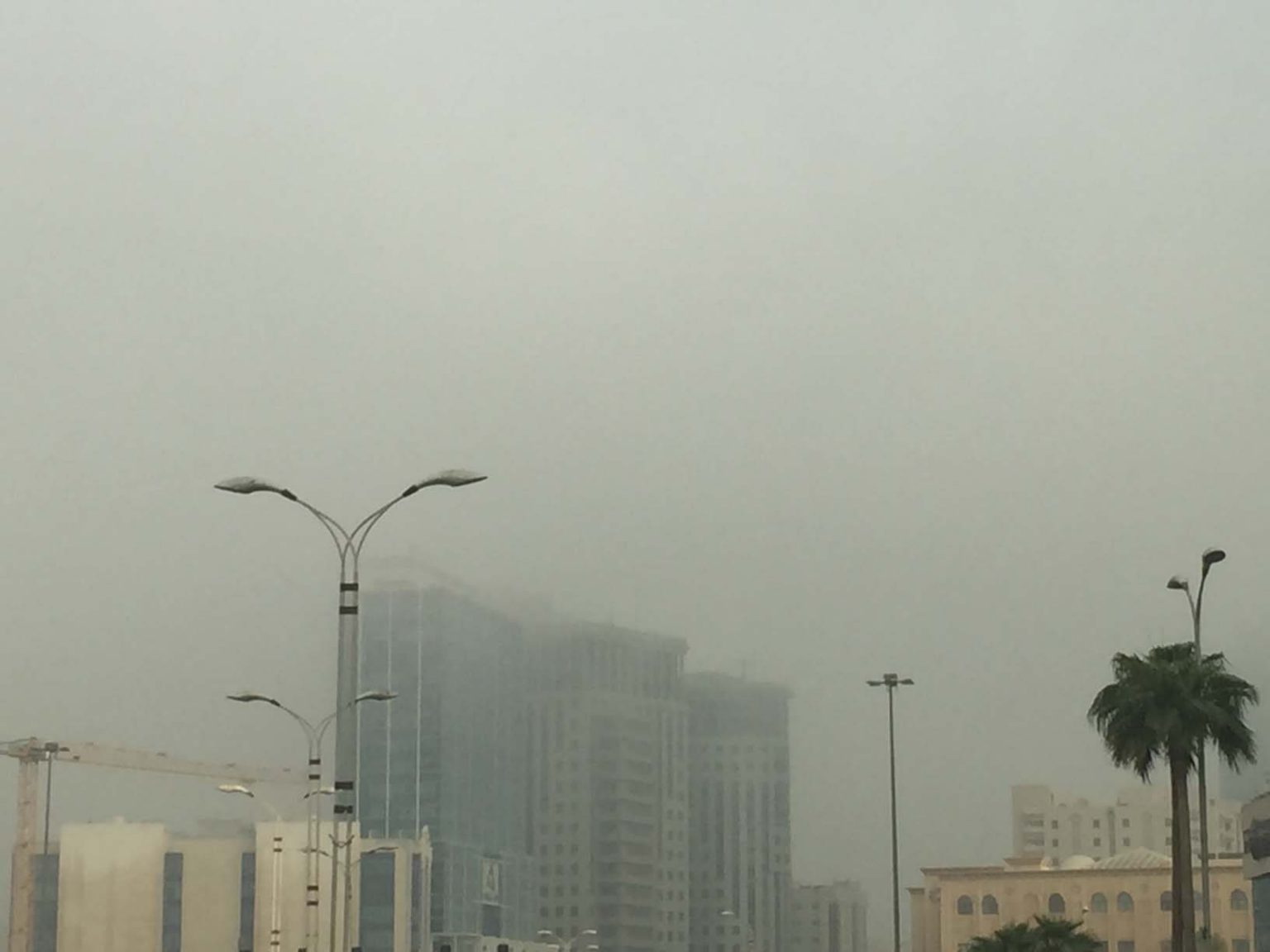 Early morning fog settles over Qatar, means winter is coming (photos ...