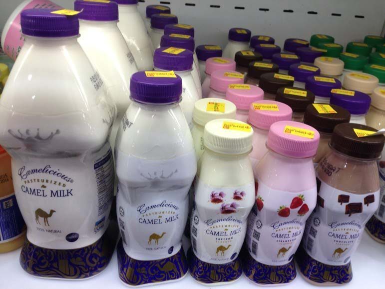 Camel milk in Food Palace Supermarket in Al Sadd