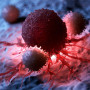 cancer patients all cured new drug