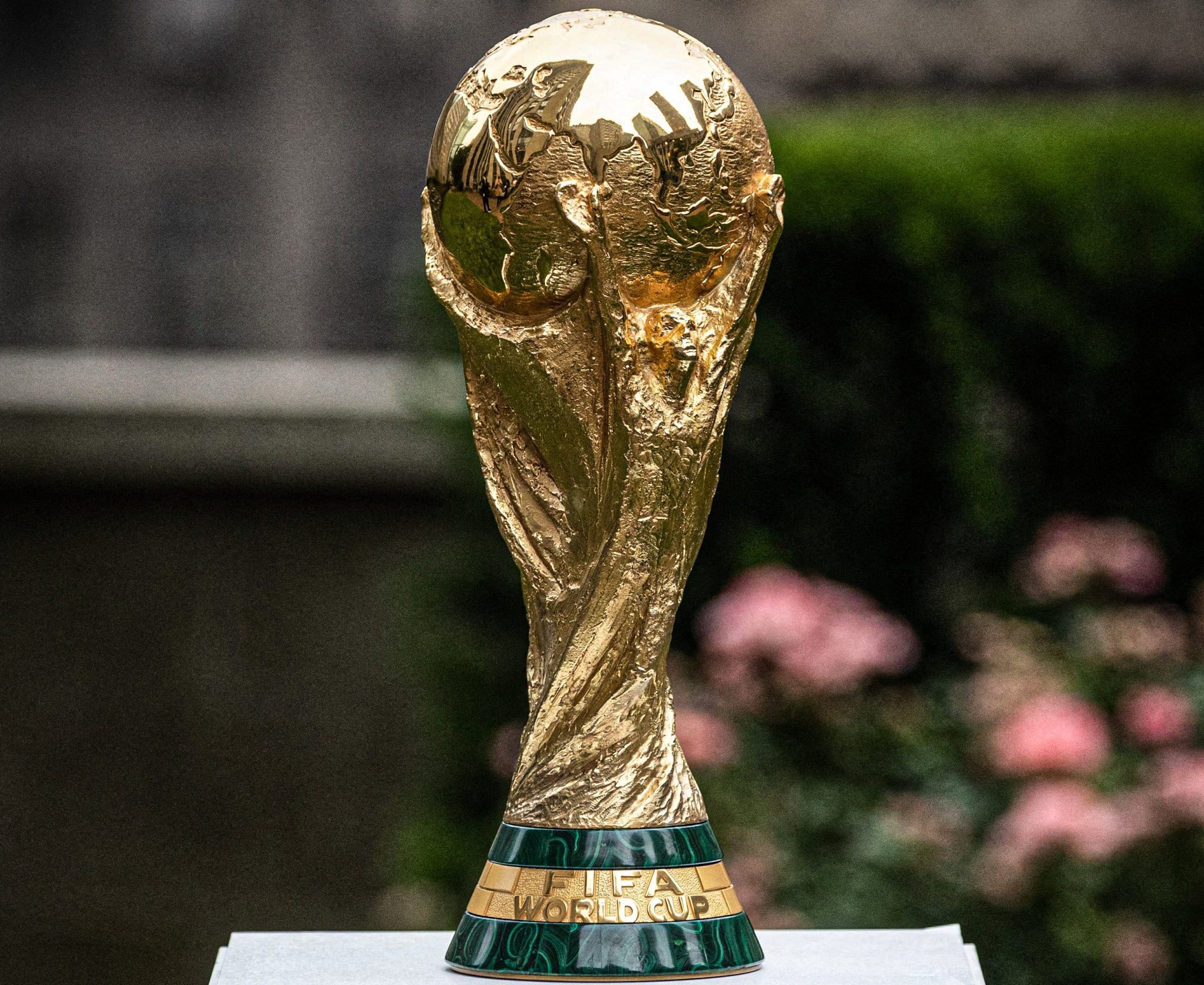 Visualising the FIFA World Cup final, Qatar World Cup 2022 News