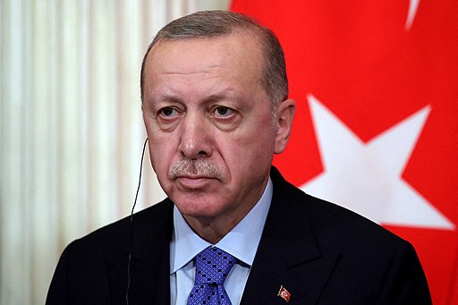 'Enough statements': Qatar official urges firm action as Erdogan rules out Sweden support at NATO - Doha News