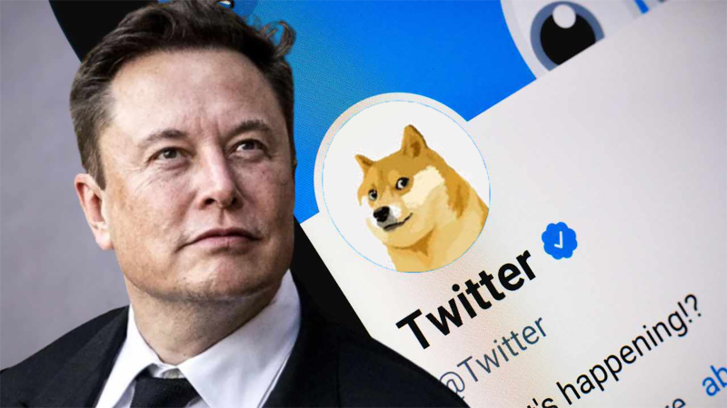 Why did Elon Musk change the Twitter logo to a Dogecoin cryptocurrency ...