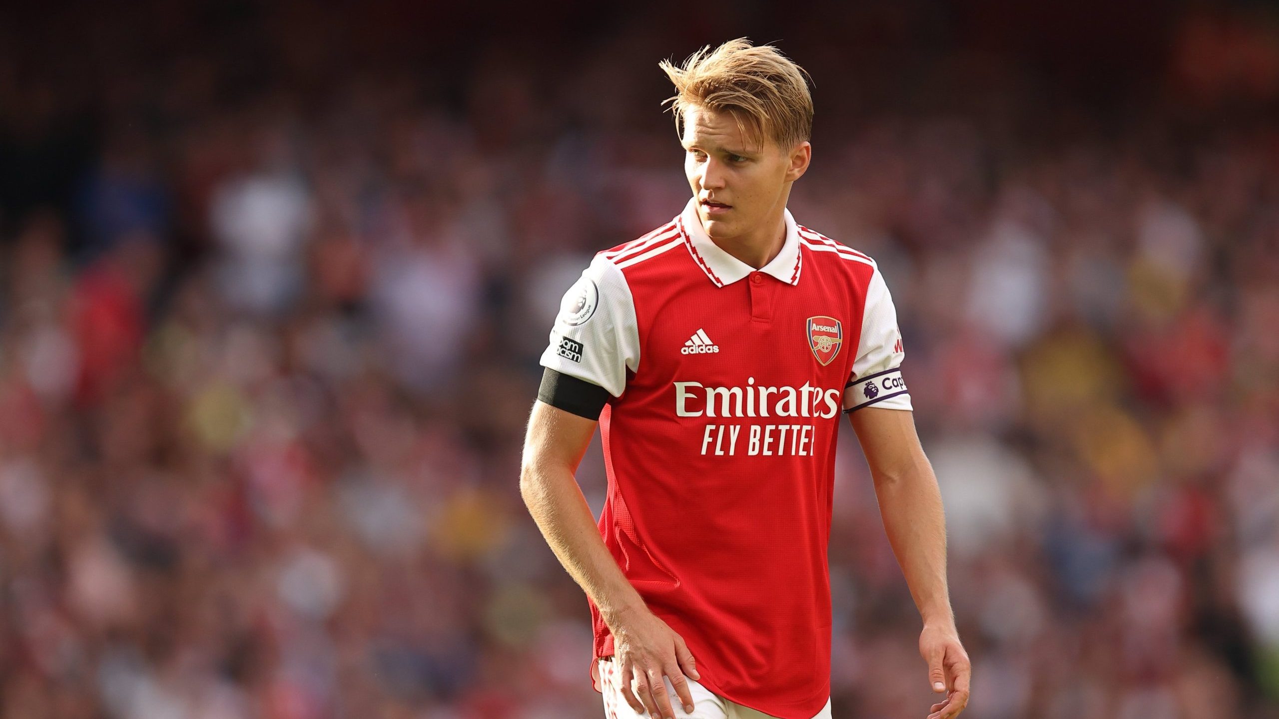 PSG sets sights on Arsenal's Martin Odegaard ahead of summer transfer -  Doha News | Qatar