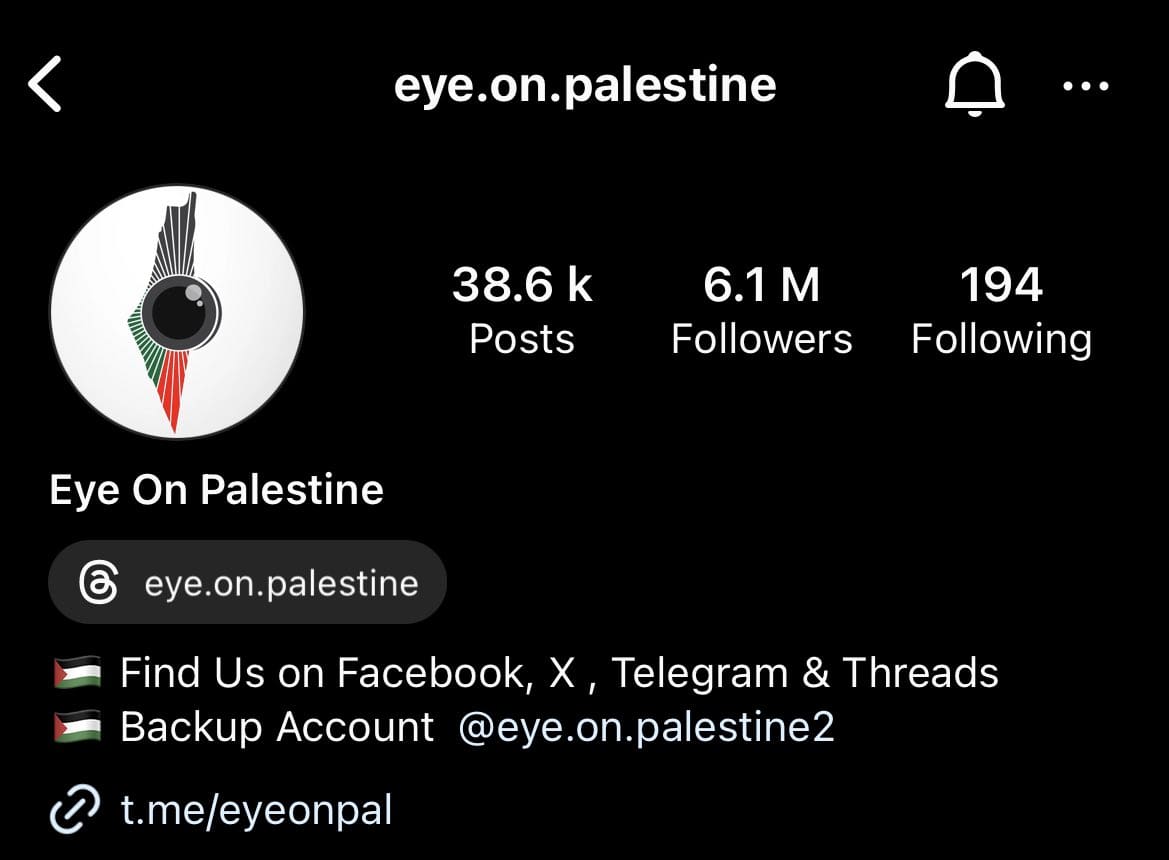 ‘Egregious censorship’: Meta, X under fire after suspending Eye On Palestine accounts