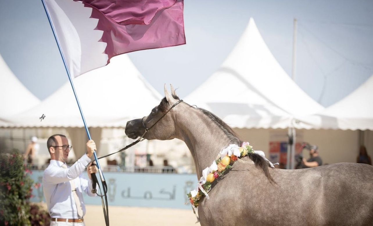 Record number: 189 world class riders saddle up for Al Shaqab’s signature equestrian competition