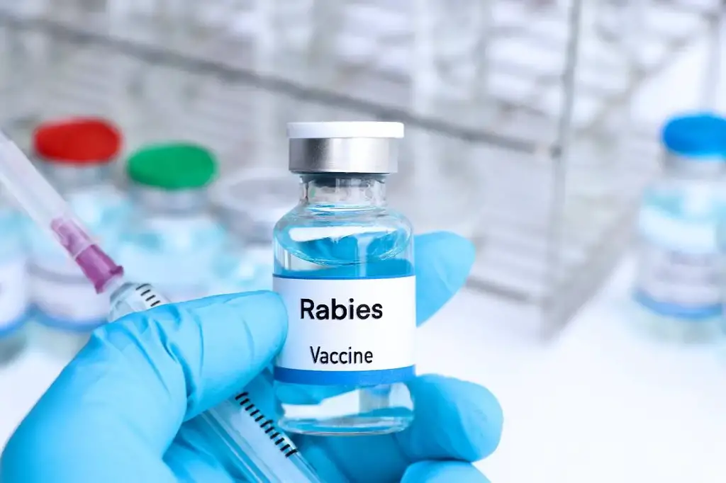Qatar marks five years of rabies-free status, ministry official confirms
