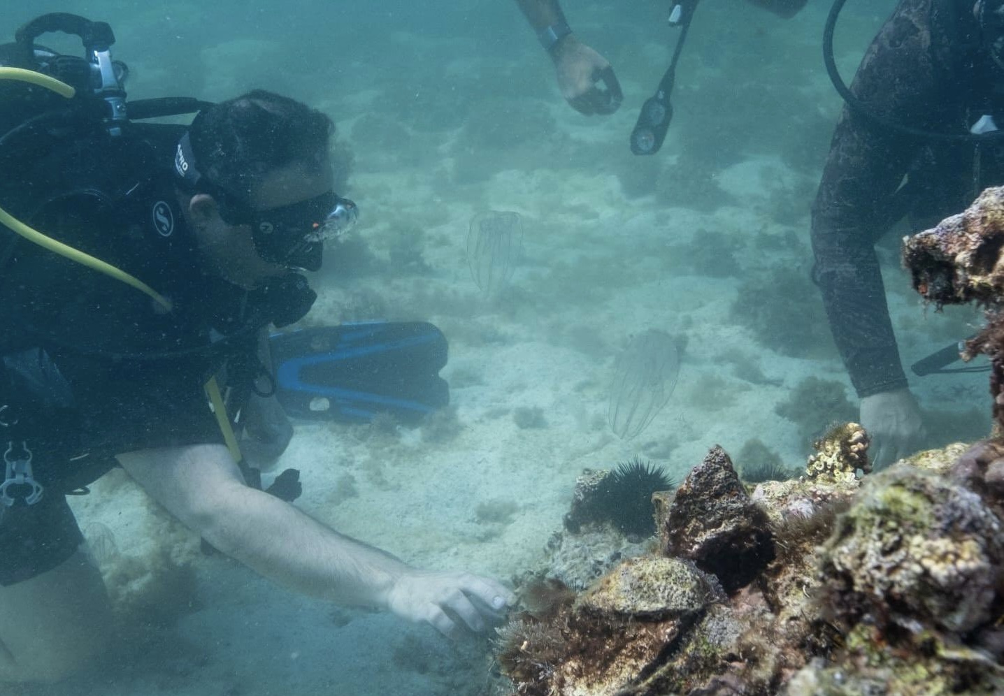 Climate change minister dives underwater to check on Qatar’s coral reefs